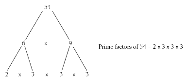 factor tree. 