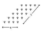 arrays. 