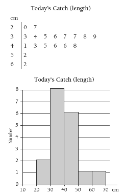 graphs. 