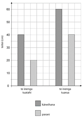 graph. 