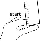 Starting hand position in the reaction-time experiment.