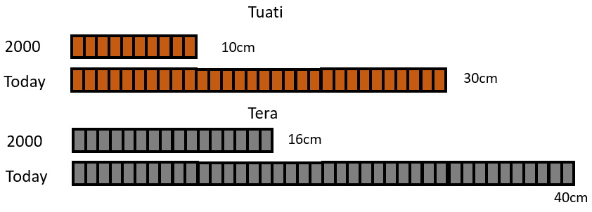 Two linking-cube models showing the length of both tuataras in 2000 and today.