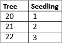 This image shows a table listing the age values for the tree and the seedling across three consecutive years.
