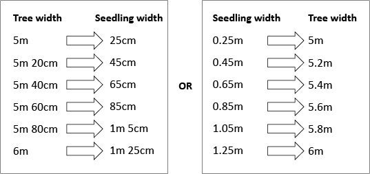 A mapping diagram showing the relationship between tree width and seedling width.