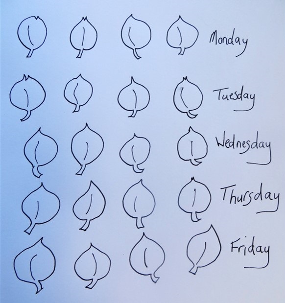 Image f an array showing the number of ili made by Kenese overt the course of a week.