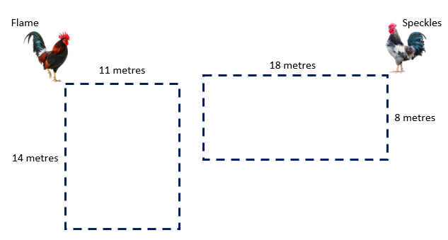 Two roosters with rectangles to run around. One is 14m by 11m, the other is 18m by 8m.