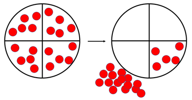 A area model showing 4/4 and 3/4.