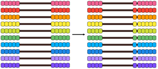 Image of two Slavonic abaci. One shows 10 x 5 and one shows 10 x 6.