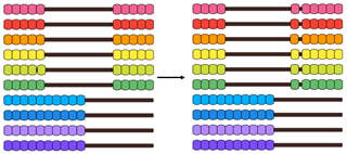 Image of two Slavonic abaci. One shows 6 x 5 and one shows 6 x 6.