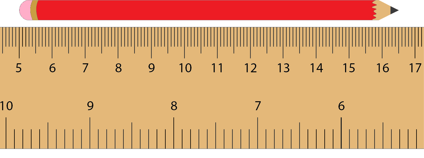 Image of a ruler being used to measure the length of a pencil. 