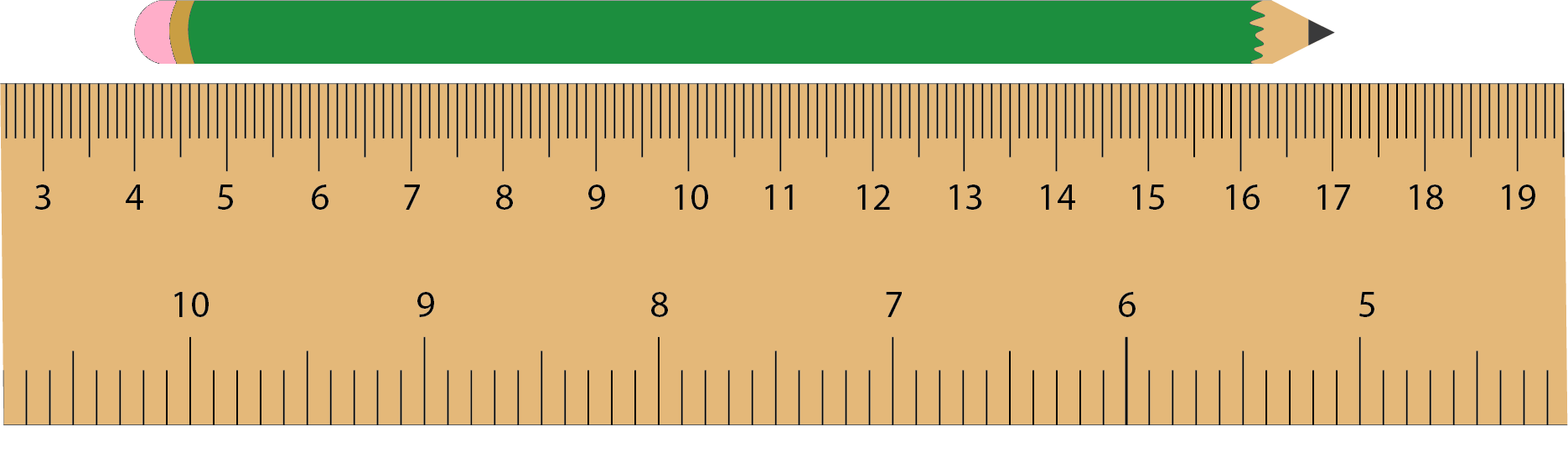 Image of a ruler being used to measure the length of a pencil. 